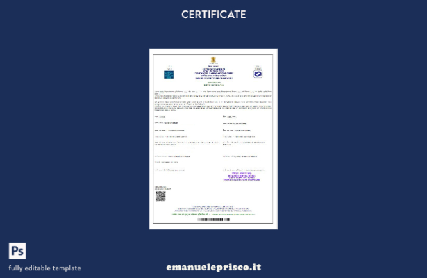 modello di certificato di nascita del governo indiano del Bihar in stile verific